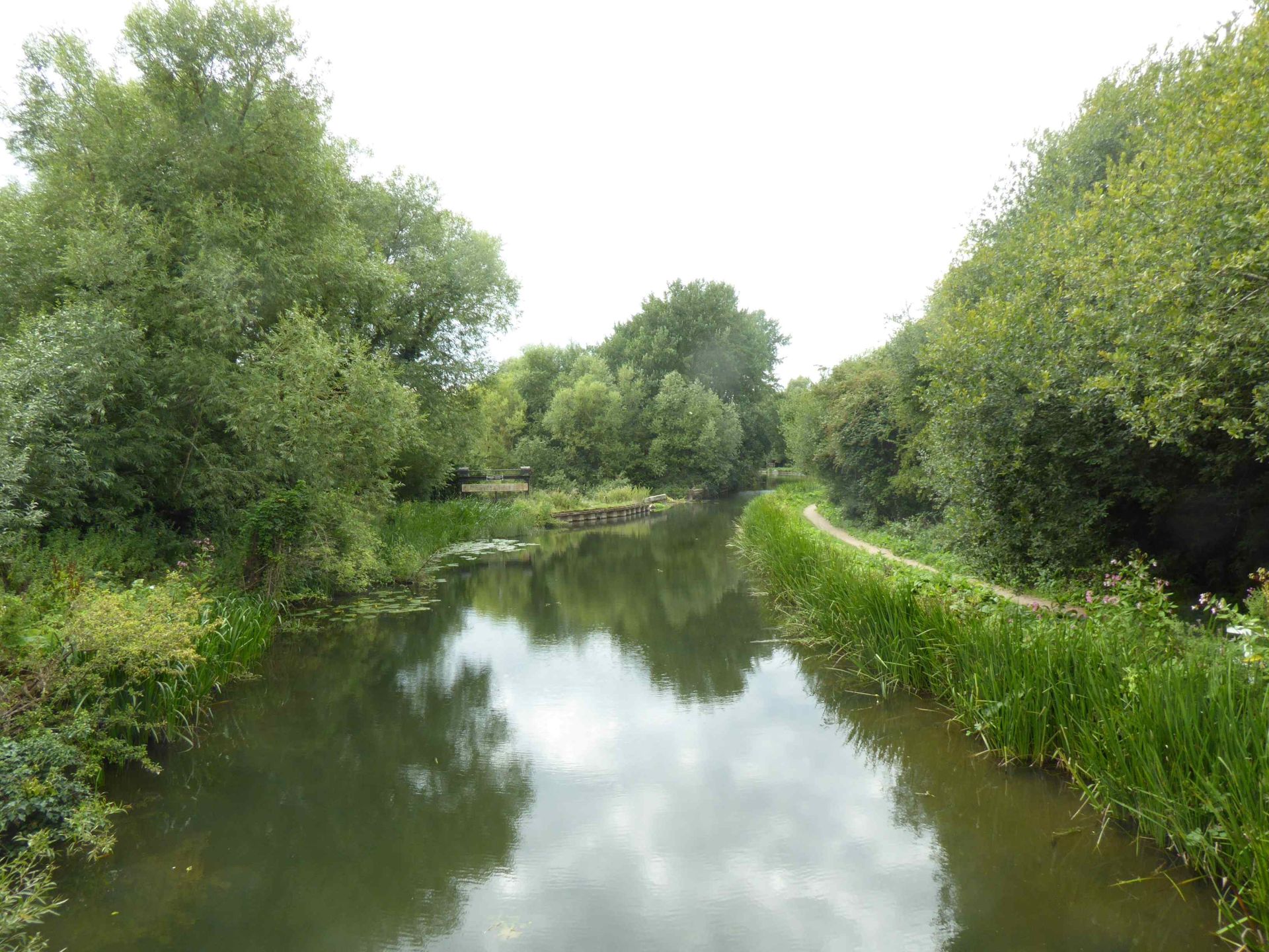 The Navigation